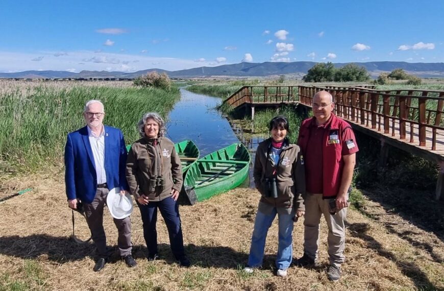 Las Tablas de Daimiel viven una «explosión de biodiversidad» tras las lluvias que inundaron 1.130 hectáreas