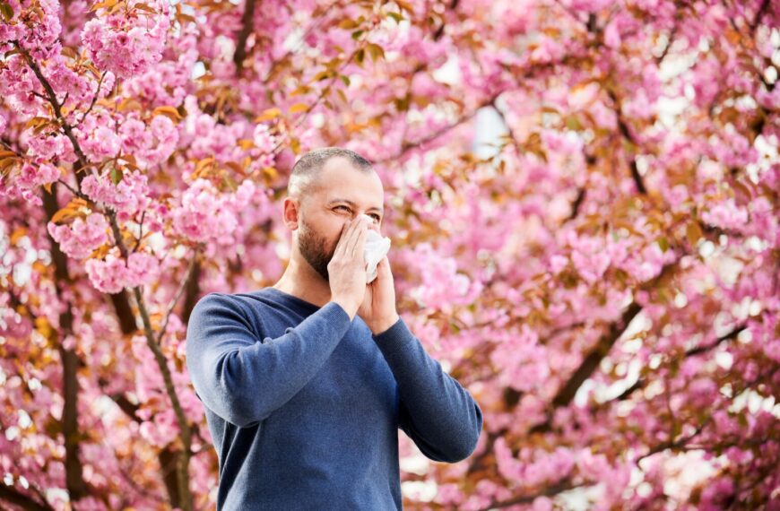 Aliados Naturales: Suplementos para Combatir las Alergias de Primavera