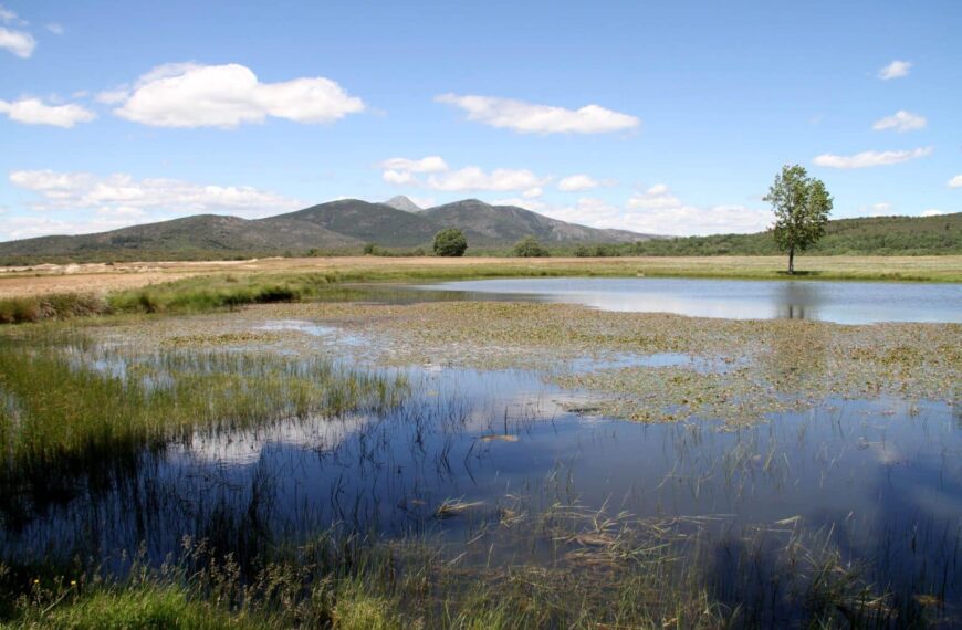 Nuevas Ayudas de ADEL Impulsan la Inclusión en Comunidades Rurales