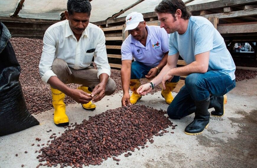 Paccari: Chocolate Ecuatoriano que Impulsa Sostenibilidad y Justicia Global