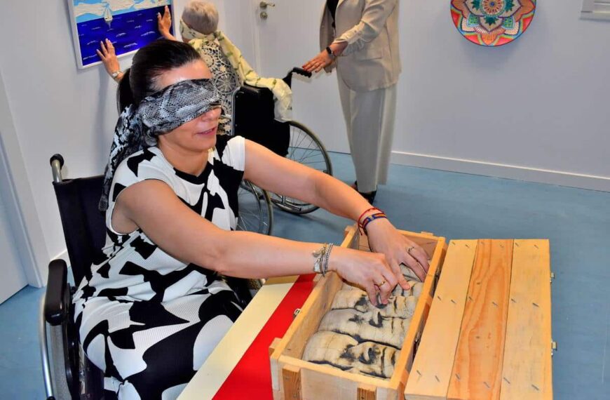 Explorando la Sensibilidad Sin Fronteras: Exhibición Innovadora en el Centro Amiab