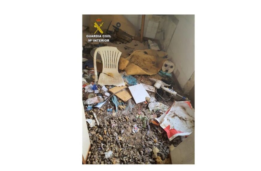 Rescatado un perro abandonado en una casa deshabitada en Alcolea de Calatrava