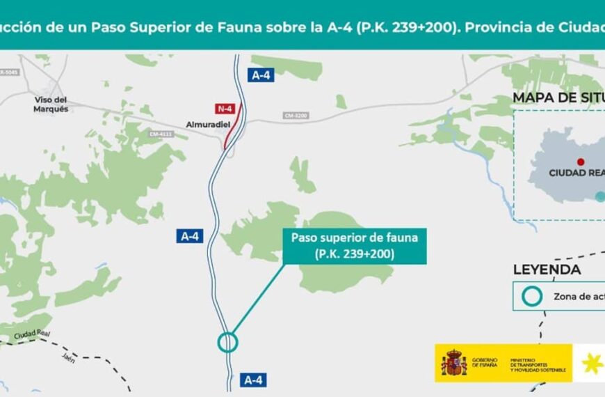 Transportes aprueba el proyecto de un paso superior para fauna en la A-4 en Almuradiel