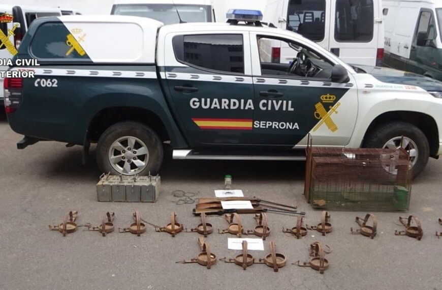 Un investigado y múltiples denuncias tras un operativo del Seprona contra el uso de venenos en Ciudad Real