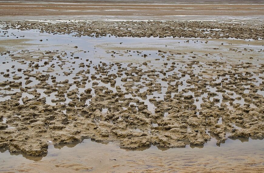 Castilla-La Mancha empodera a los mandos intermedios del SESCAM para liderar el cambio hacia un nuevo modelo de salud