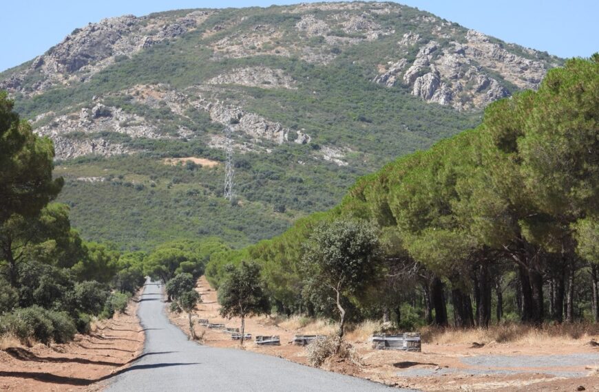 Conclusión Exitosa de la Primera Etapa de Mejoras en el Camino de la Dehesa Boyal con Más de un Kilómetro Renovado