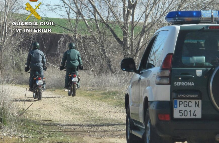 Dos investigados por practicar caza ilegal en Ciudad Real