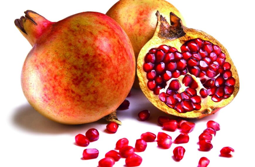 España y el Zumo de Granada: El Tesoro Saludable que Transforma el Mundo