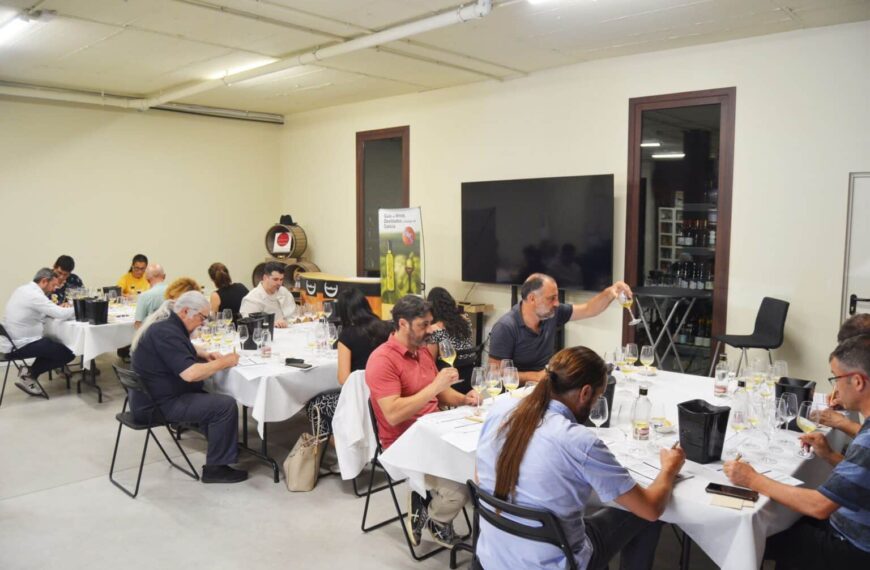 Paadín Eventos Descubre el Futuro del Vino Blanco Gallego: Innovador Estudio sobre su Guarda