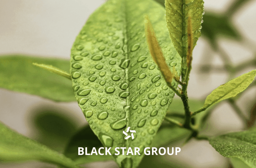 Black Star Group: Revolucionarias Soluciones para Maquinaria Agrícola e Industrial