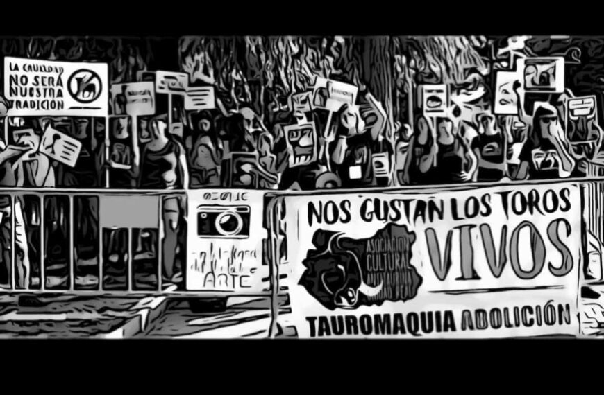 Convocan concentración antitaurina contra los festejos de agosto en Ciudad Real y provincia