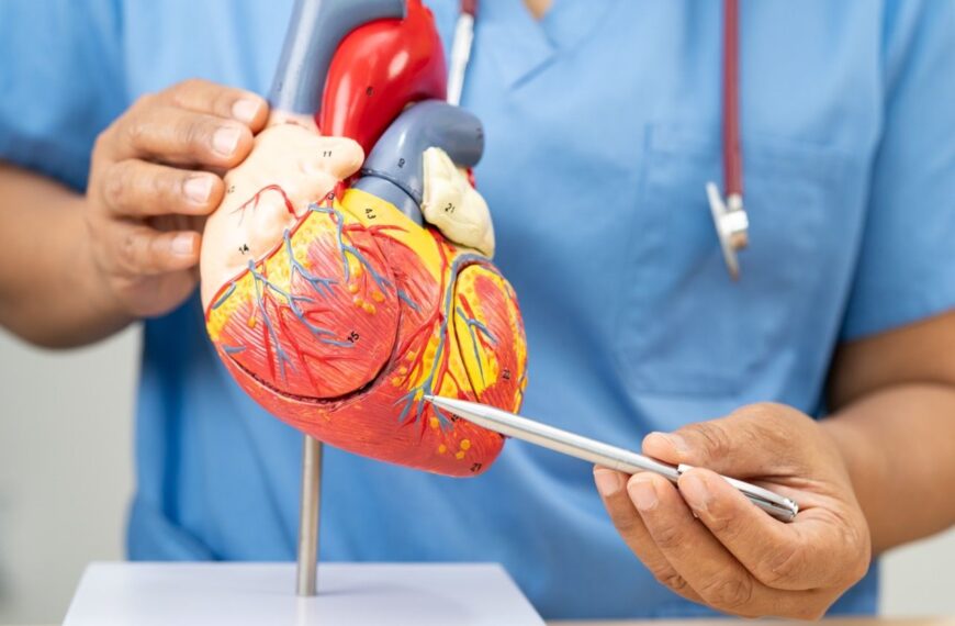 Ejercicio: El Mejor Aliado para un Corazón Saludable Más Allá del Peso