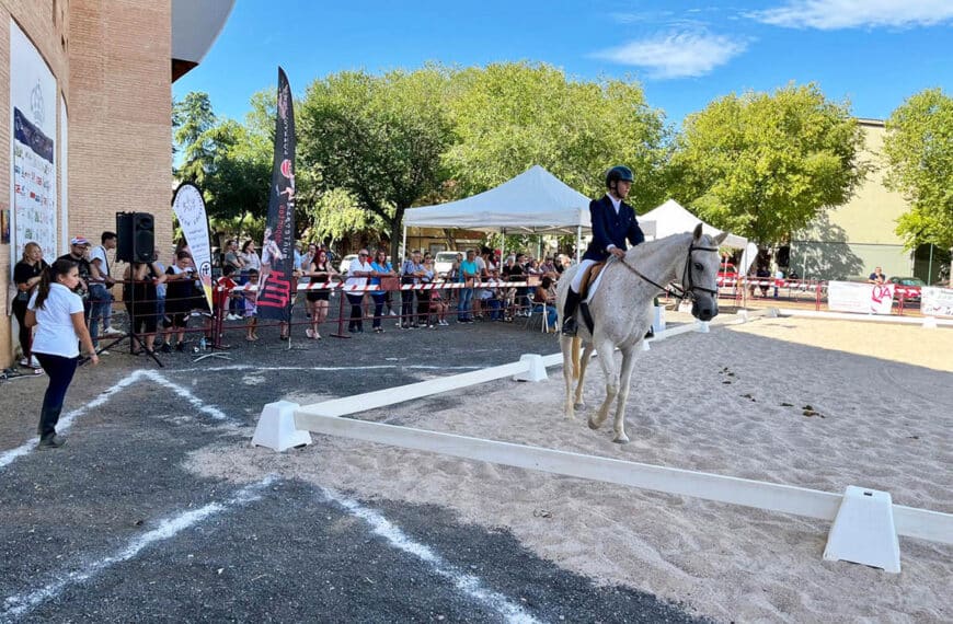 El Espectáculo de la Elegancia Ecuestre: Treinta Competidores Brillan en el Segundo Concurso de Doma Clásica