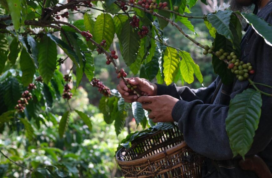 El Papel Clave del Marketing Intelligence en la Estabilidad Empresarial del Mercado