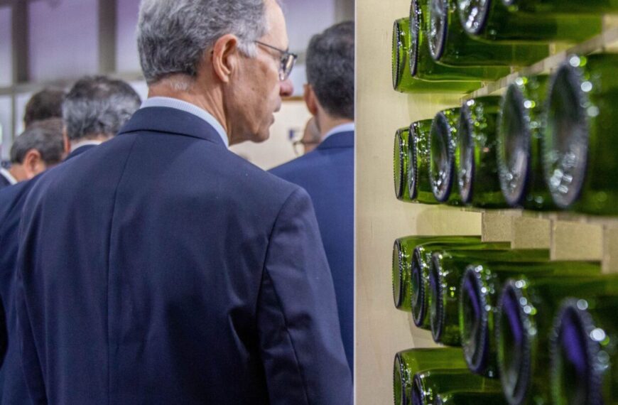 Revolución Tecnológica 2026: Avances en Maquinaria para Vino y Aceite.