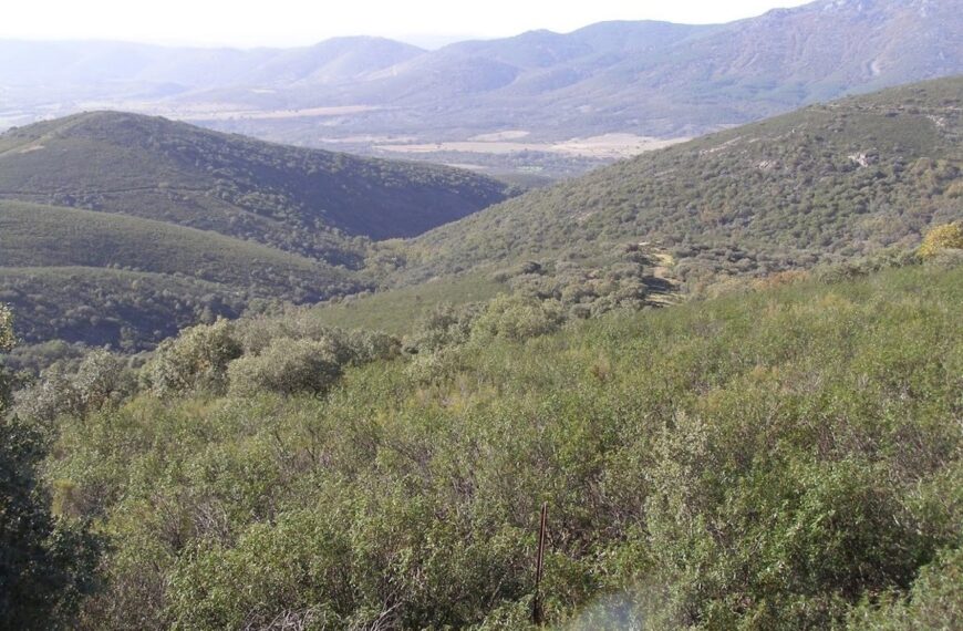 La Eurocámara visitará en febrero el Parque Nacional de Cabañeros para estudiar los efectos de la prohibición de la caza