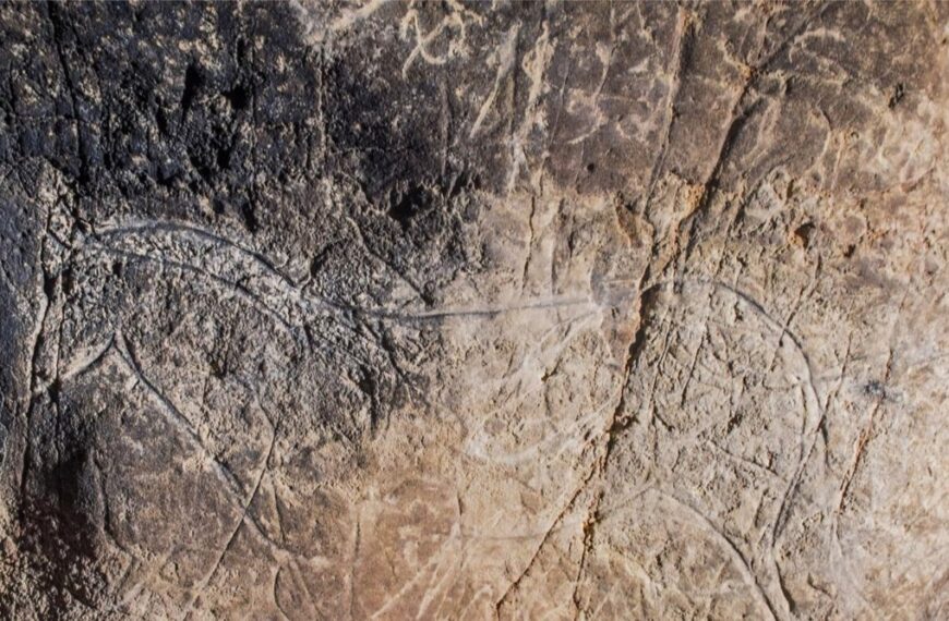 La Junta organiza más de una decena de actividades para celebrar el Día Europeo del Arte Rupestre