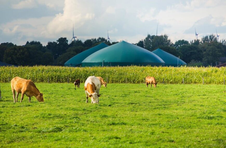 Moeve e ID Energy desarrollarán proyectos de biometano para el consumo anual de 140.000 hogares