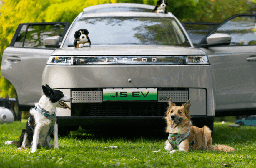 Guía JAECOO: Cinco Consejos para un Viaje Perfecto con tu Perro