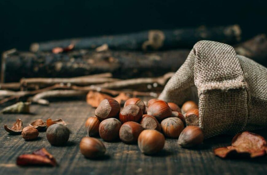 Impacto Ambiental: La Castanyada Genera 140,000 Residuos de Un Solo Uso en Barcelona