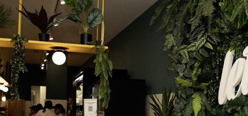 Lettus Impulsa su Crecimiento con Nuevas Sucursales en España