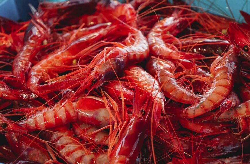 MSC Promueve la Sostenibilidad de la Pesca Ibérica y Mejora de la Gamba Roja de Palamós en CONXEMAR 2025