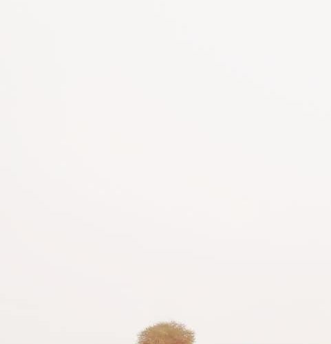 Más de 1.000 personas disfrutan del ‘Tour Promoción’ del Gobierno de Castilla-La Mancha en una celebración única y emocionante