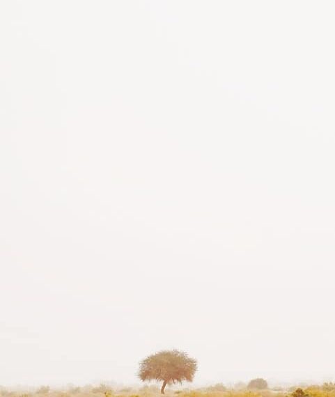 Más de 1.000 personas disfrutan del ‘Tour Promoción’ del Gobierno de Castilla-La Mancha en una celebración única y emocionante