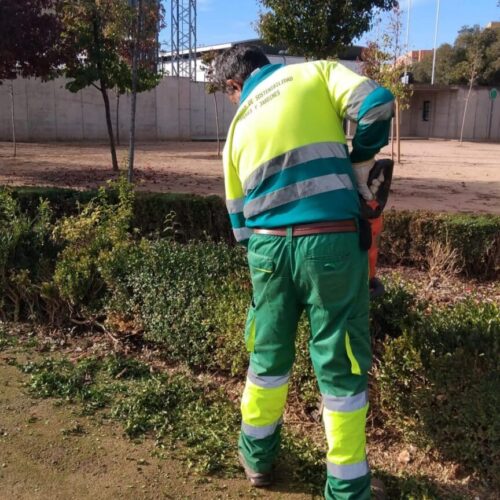 CCOO Obtiene Representación Exclusiva en el Mantenimiento de Zonas Verdes de Ciudad Real