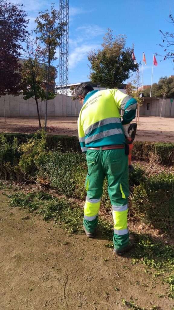 CCOO Obtiene Representación Exclusiva en el Mantenimiento de Zonas Verdes de Ciudad Real