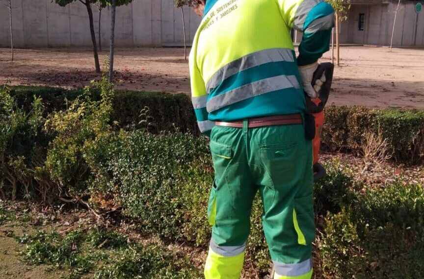 CCOO Obtiene Representación Exclusiva en el Mantenimiento de Zonas Verdes de Ciudad Real