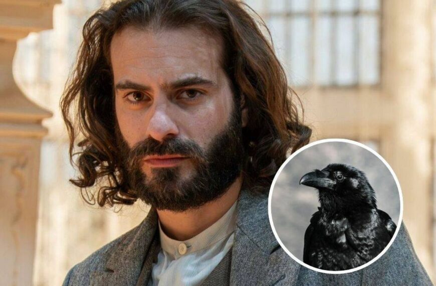 El Inesperado Giro en la Vida de Petra: Un Destino Fulminante