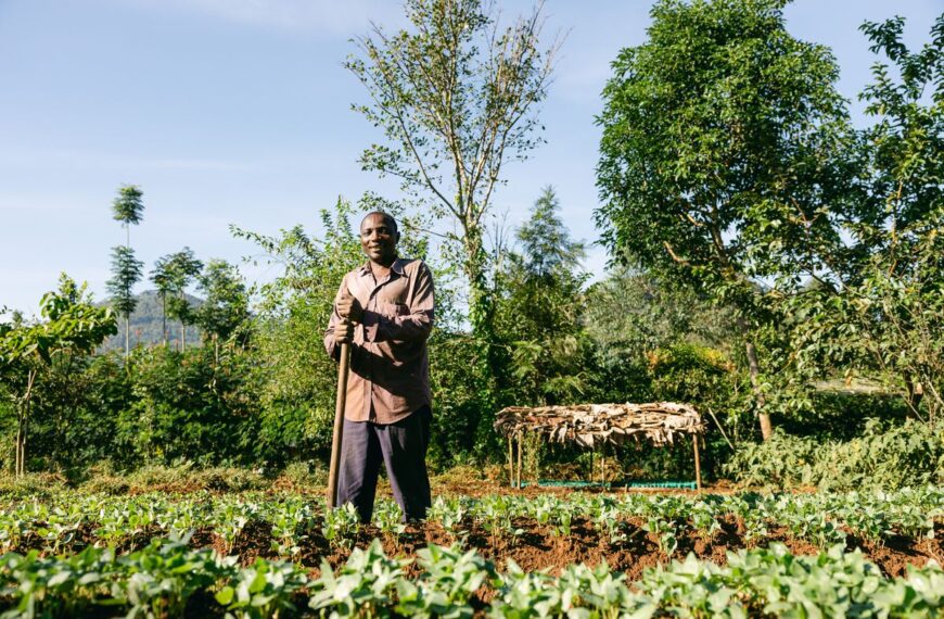 Smoking Paper: Iniciativa Verde Planta 245,922 Árboles