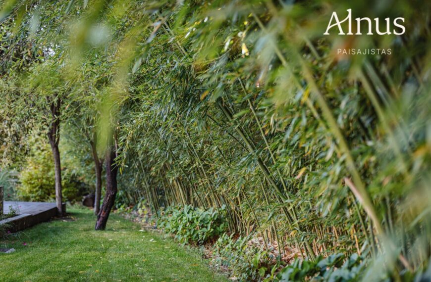 Alnus Paisajistas: Liderando el Paisajismo Sostenible en Madrid