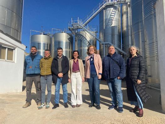 Ayudas VINATI Impulsan Modernización de Empresas Vitivinícolas en Ciudad Real
