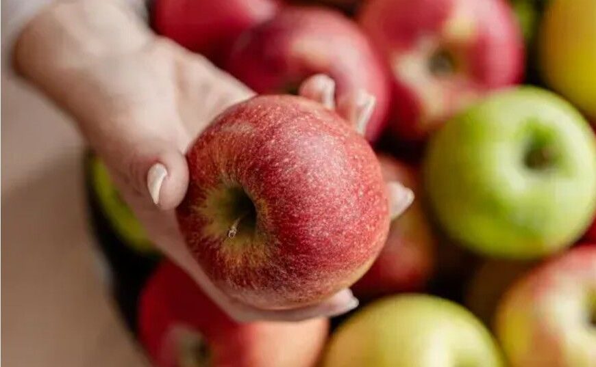 La Manzana Europea: Tu Aliada Nutricional de la Mañana a la Noche