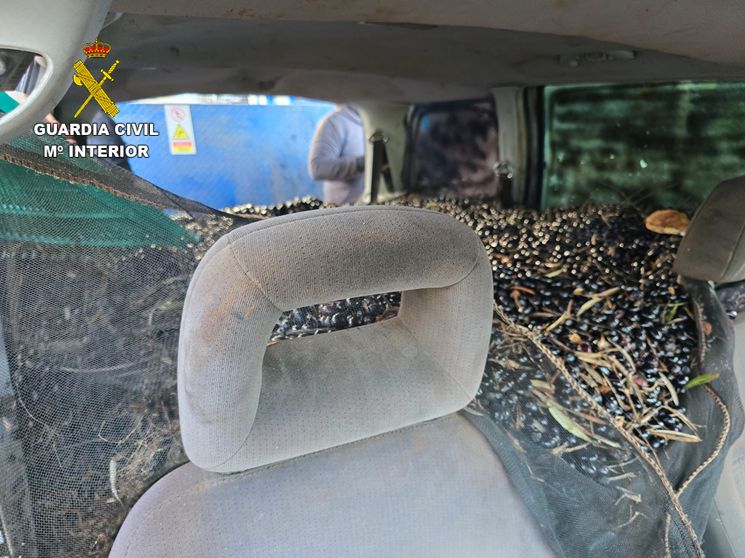 La Guardia Civil investiga dos casos de hurto de aceituna en Peralosas-Malagón y Villarrubia de los Ojos
