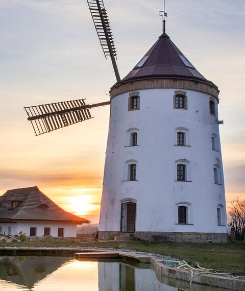 Castilla-La Mancha avanza en el plan regional contra resistencia de antibióticos