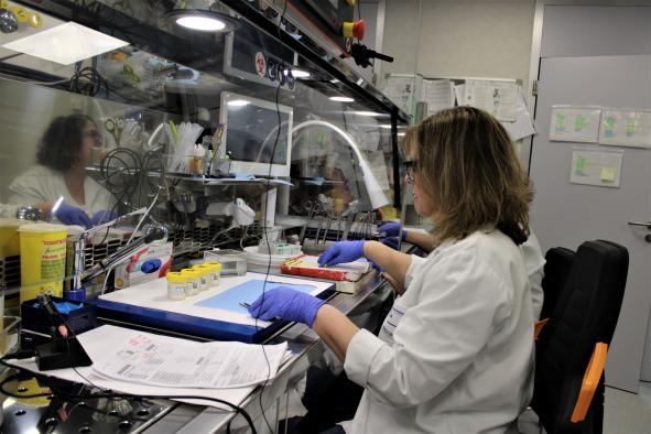 El hospital universitario Mancha Centro se equipa con una nueva mesa de tallado para Anatomía Patológica