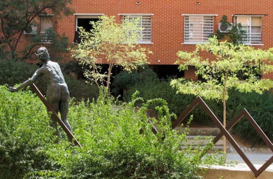 Revitalización y Retos: El Futuro de los Espacios Públicos en Puente de Vallecas