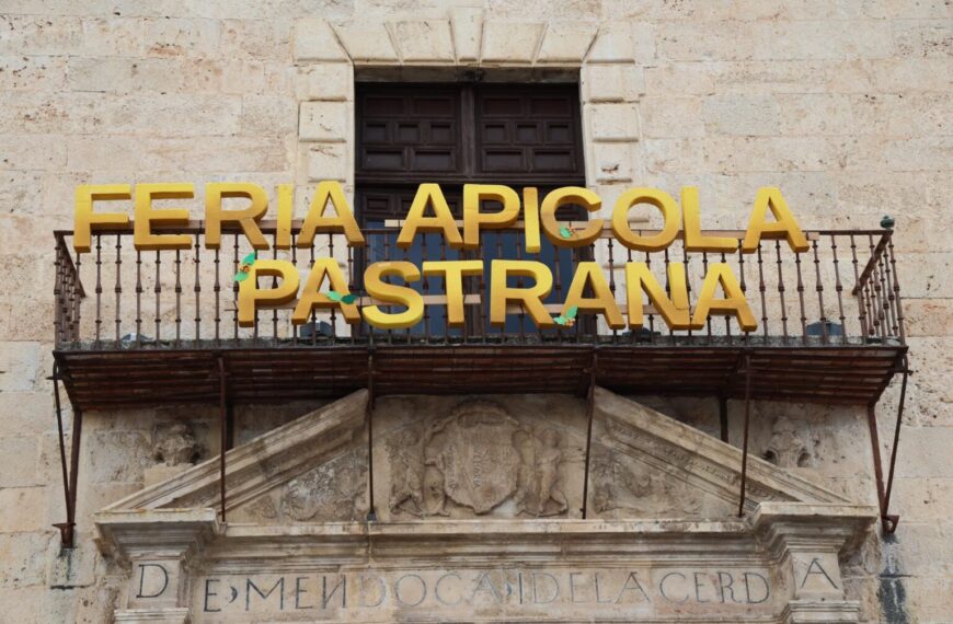 Éxito Total en la Feria Apícola: Pastrana Celebra con Gran Participación