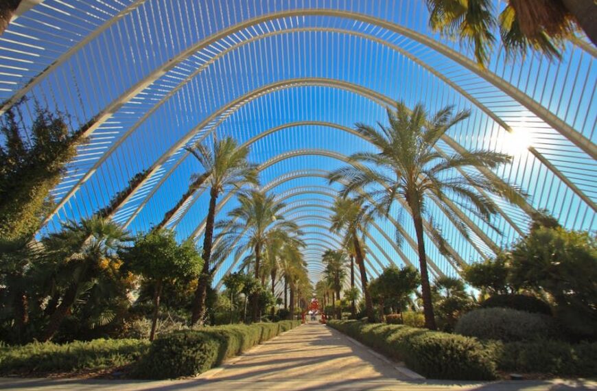 Valencia Encabeza el Ranking como la Ciudad Más Saludable de España, según Altezza Travel