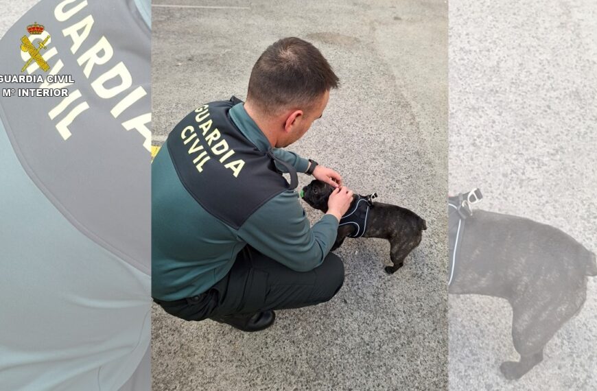 El SEPRONA investiga a tres personas en Ciudad Real por una red de venta ilegal de cachorros a través de internet