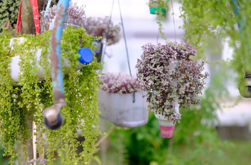 Transforma Botellas de Agua en Macetas Colgantes: Ideas DIY Creativas