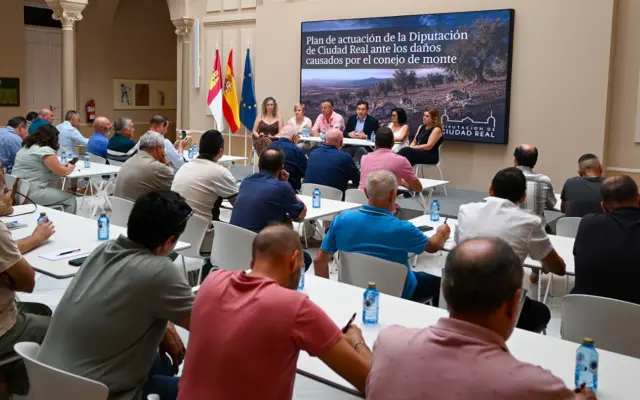 Encuentro de la Diputación con municipios, agricultores y cazadores por los daños de la plaga de conejos
