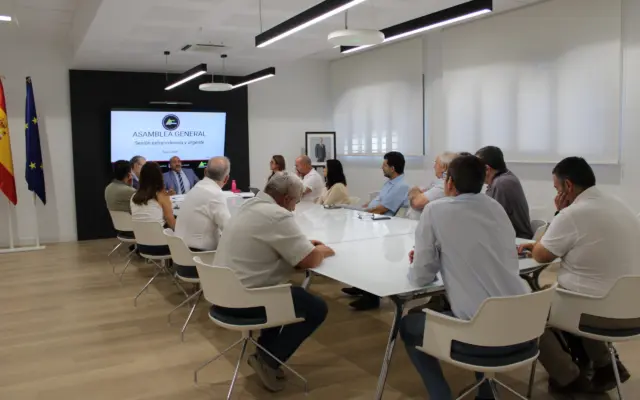 Asamblea General del Consorcio SCIS de Ciudad Real