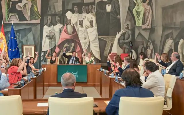 Sesión plenaria de la Diputación de Ciudad Real