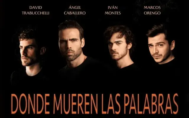 Cartel de la obra Donde mueren las palabras en el teatro de Valdepeñas