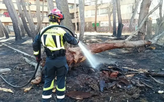 Bomberos y maquinaria pesada junto al tronco calcinado de un árbol derribado en el Antiguo Hospitalillo de Alcázar de San Juan