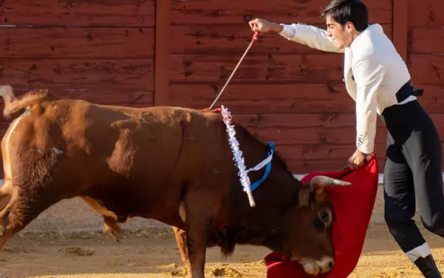 Faena de muleta en el festival taurino de la Feria de Herencia 2026